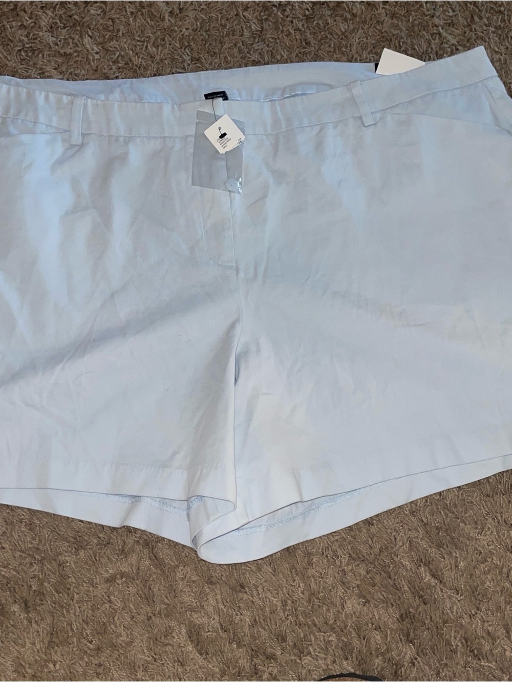 Lane Bryant Light Blue Flat Front Women's Shorts